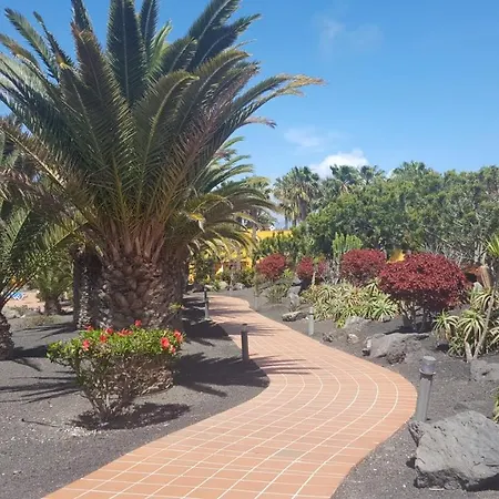 Oasis Royal 3 Piscinas Corralejo