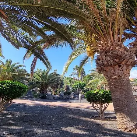 Oasis Royal 3 Piscinas * Corralejo