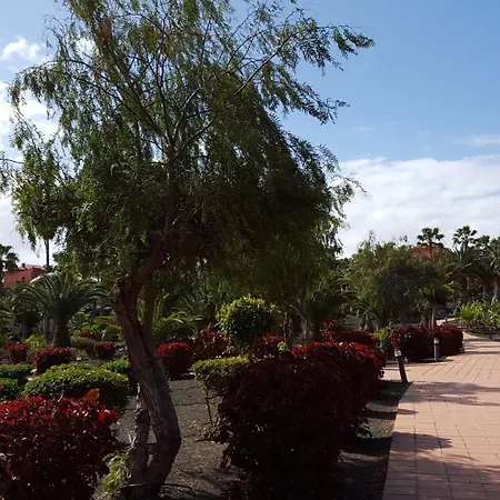 Daire Oasis Royal 3 Piscinas *