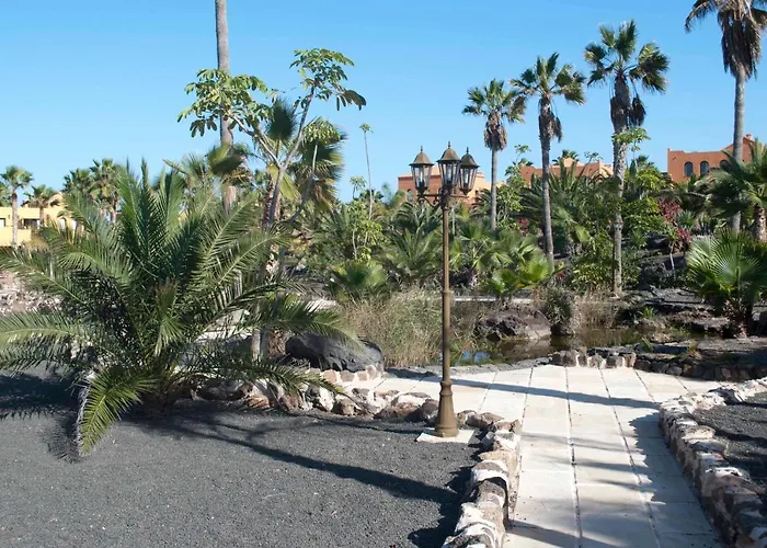 Oasis Royal 3 Piscinas *