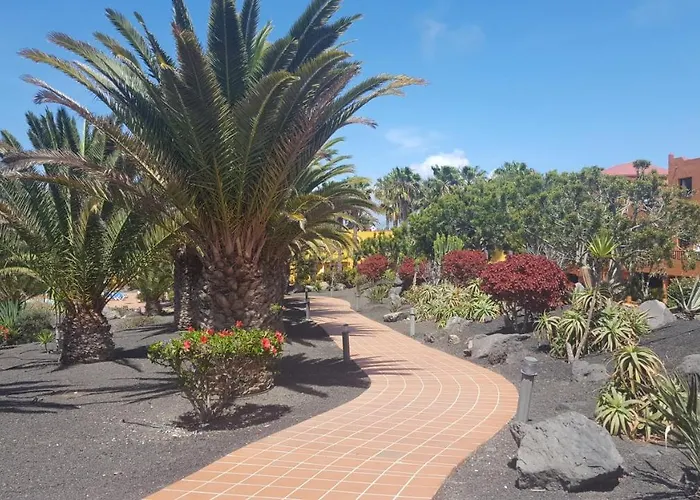 Oasis Royal 3 Piscinas Corralejo