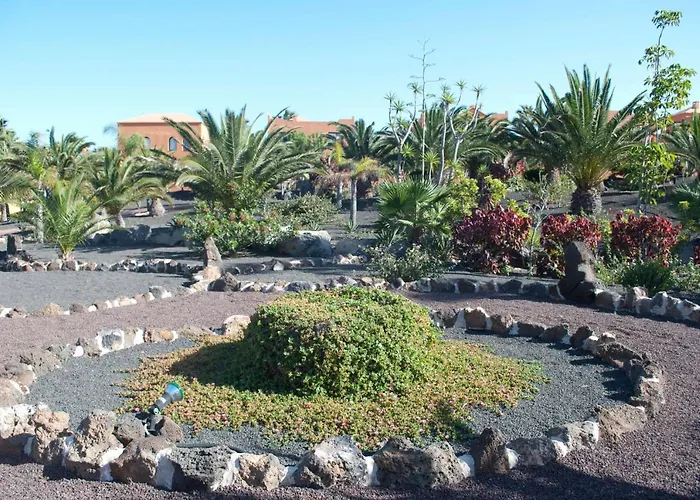 Oasis Royal 3 Piscinas