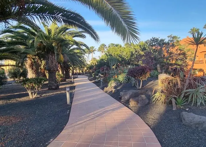 Oasis Royal 3 Piscinas Corralejo