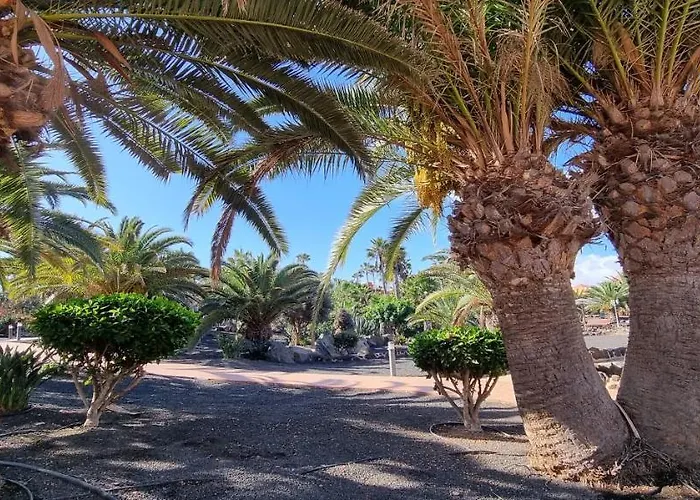 Oasis Royal 3 Piscinas * Corralejo