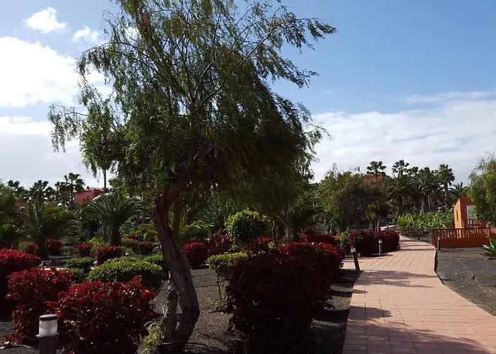 Appartement Oasis Royal 3 Piscinas *